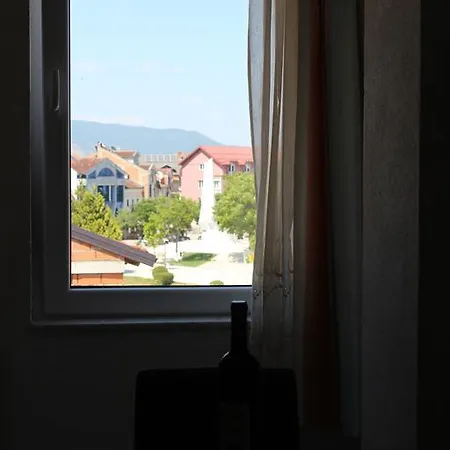 Apartament Nestor *